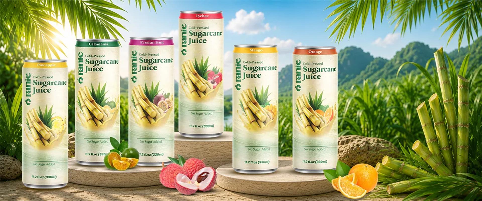 Đồ uống tốt cho sức khỏe