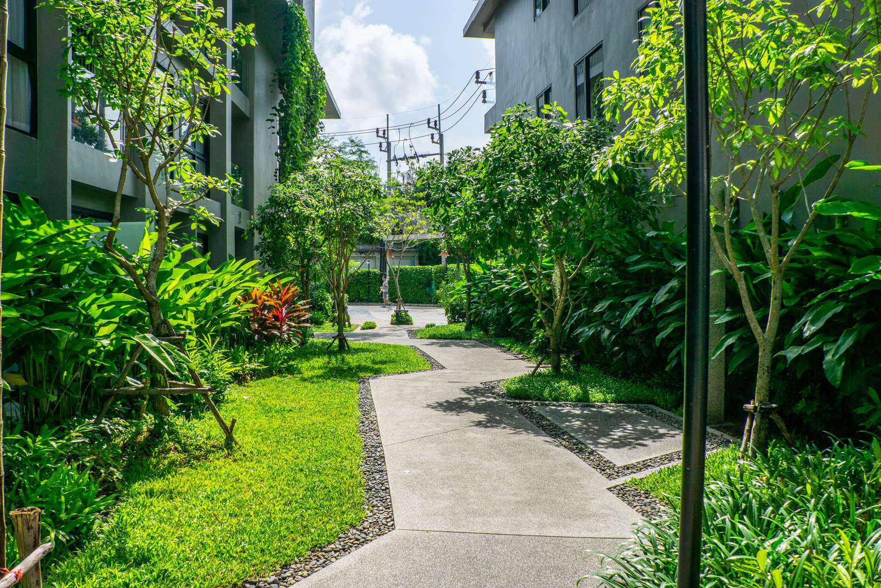 property group main image