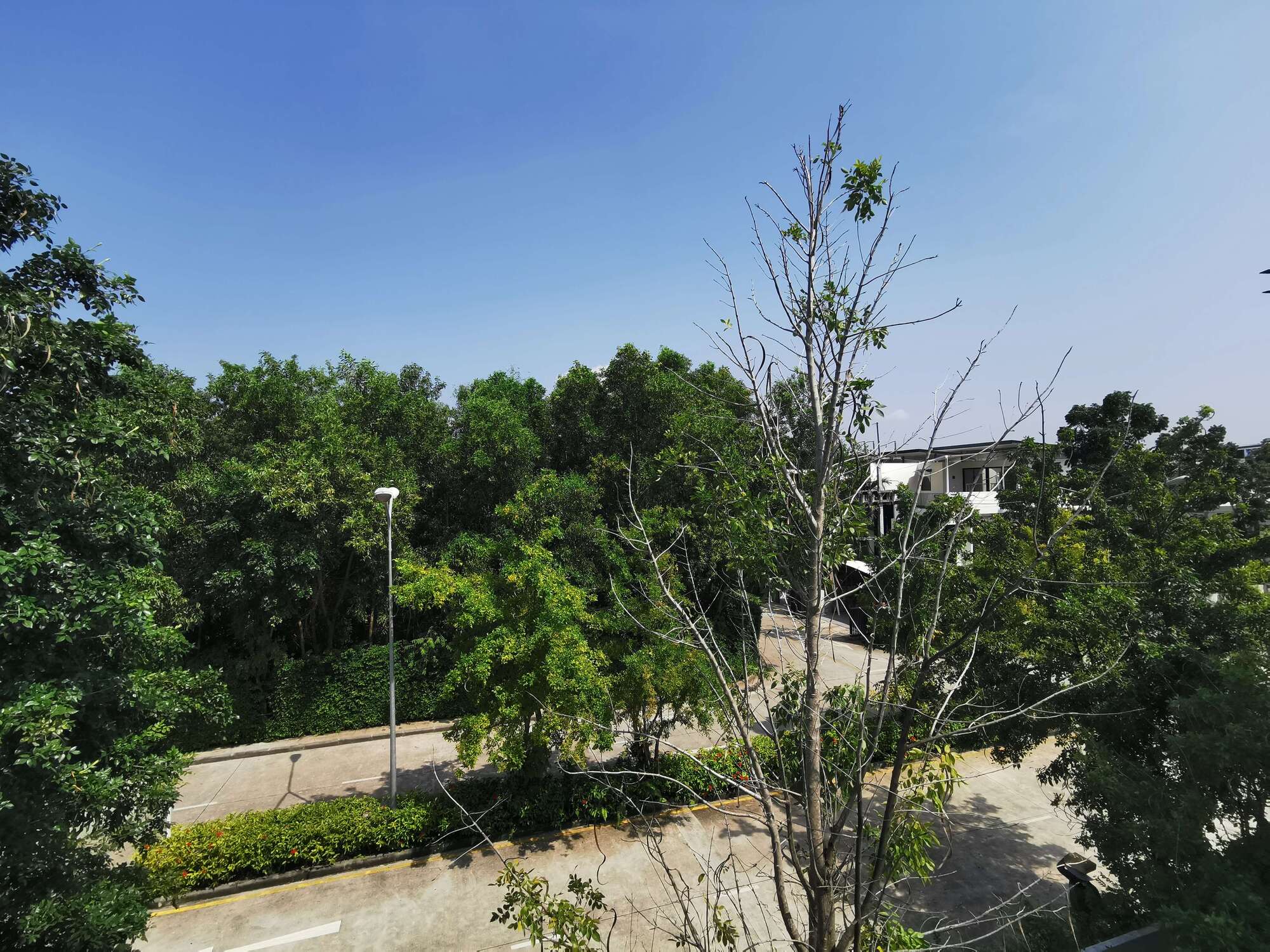 property group main image