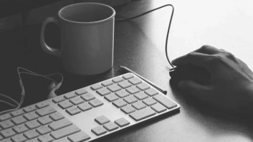 Cover for Drupal 8 override views field template in twig