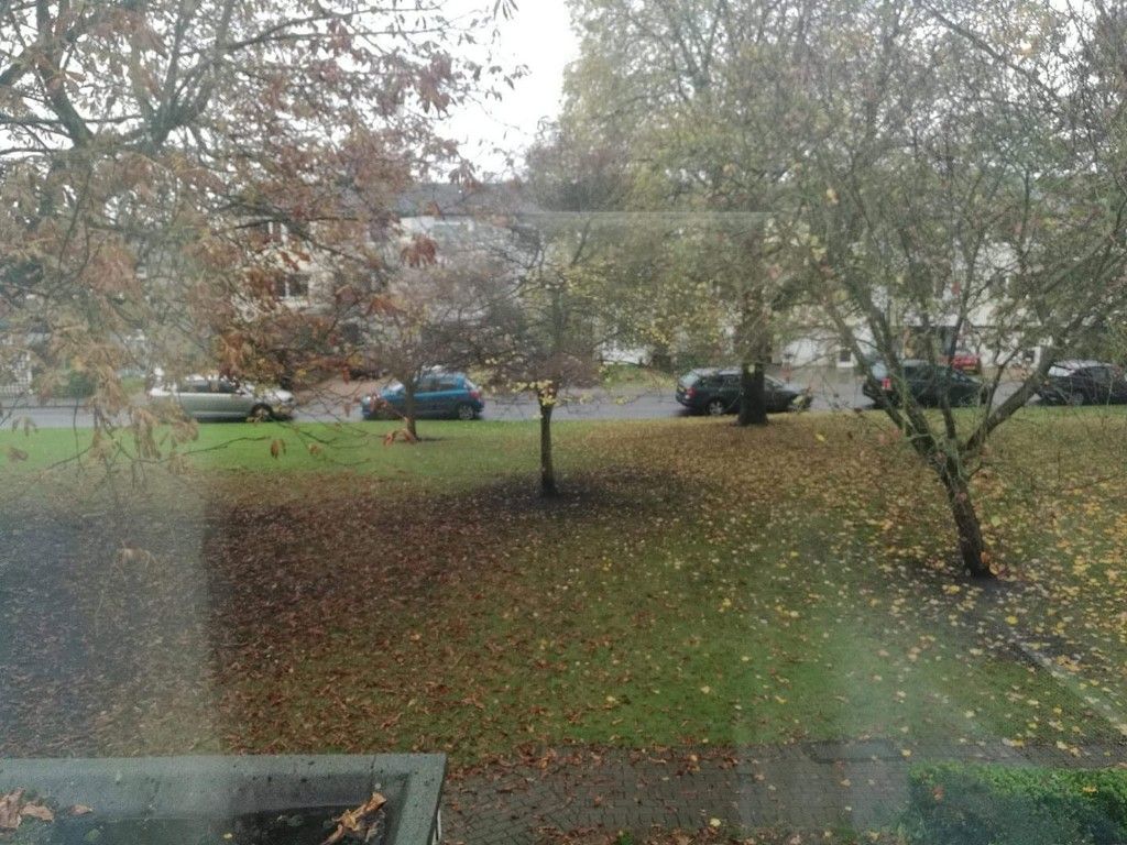 An autumn view through a window of a wet green garden, fallen leaves, trees and parked cars