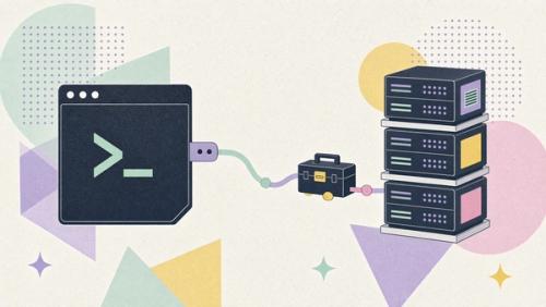 Terminal connected to shared hosting servers with a developer toolbox.