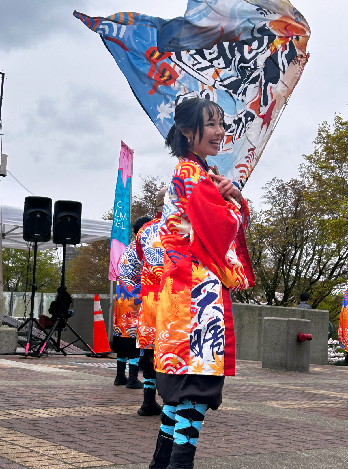 The Big Picnic - David Lam Cherry Blossom 2026