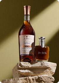 Camus bottles on stone