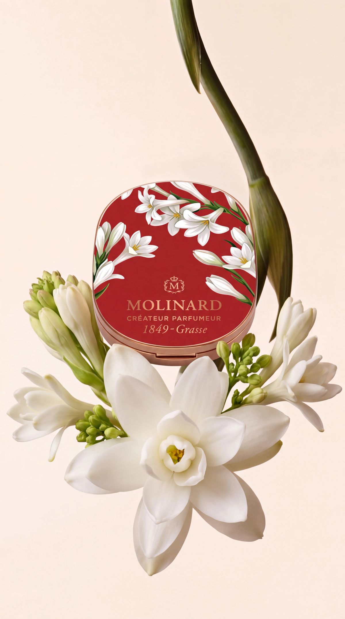 Molinard social organic