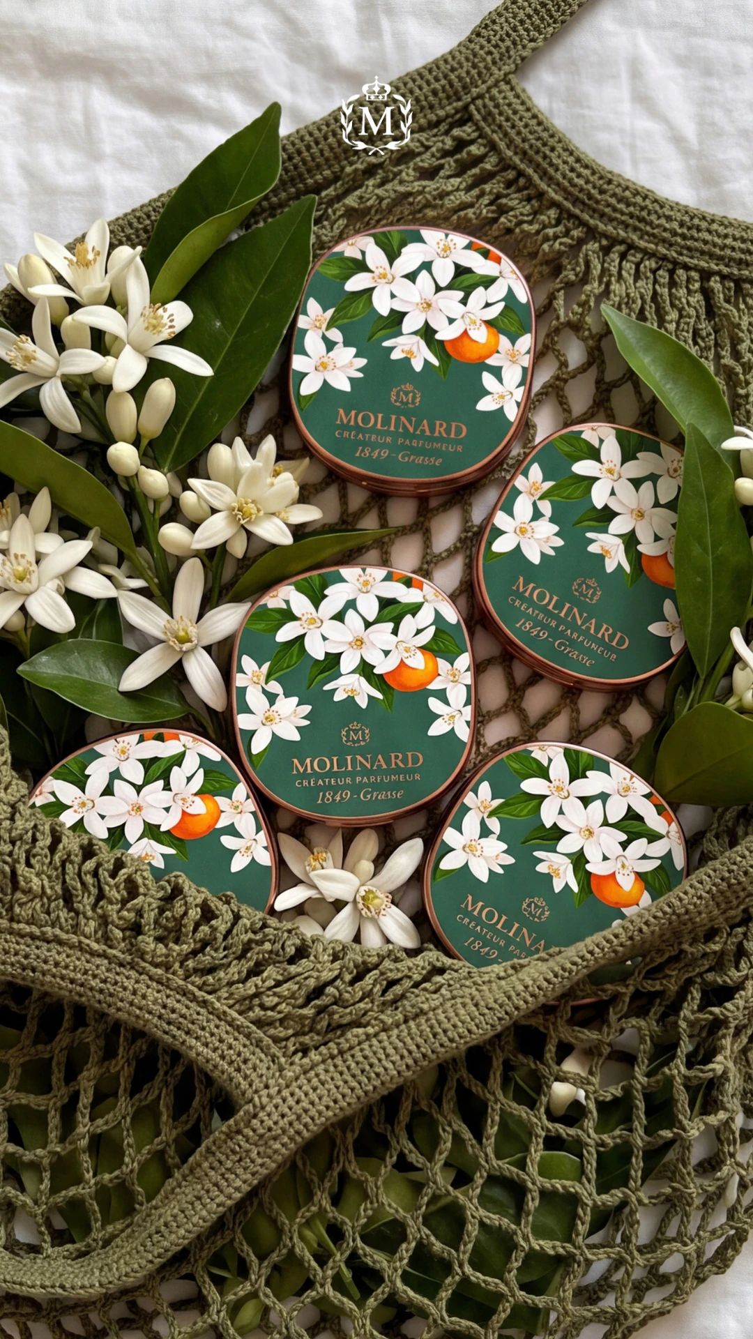 Molinard social organic