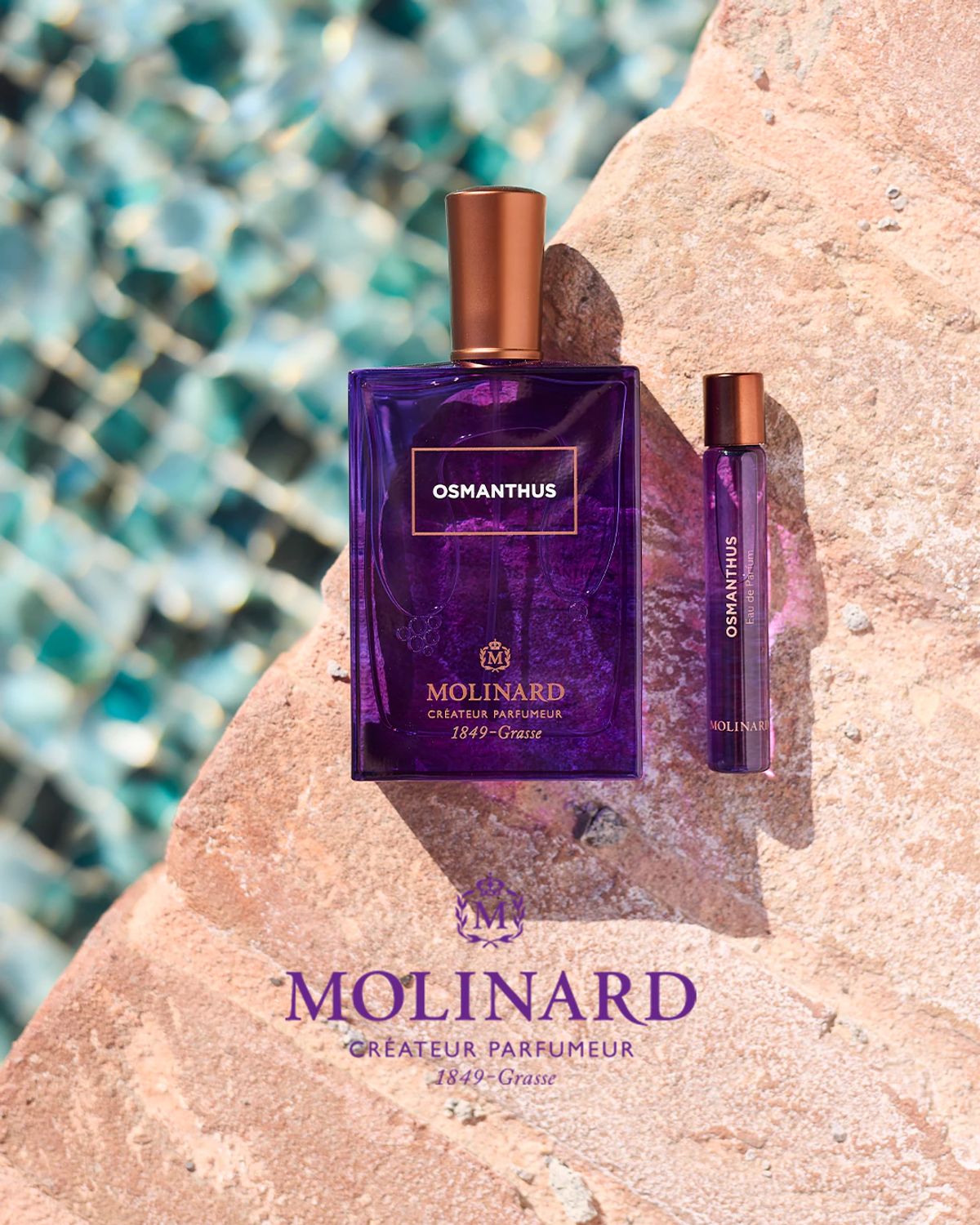Molinard social organic