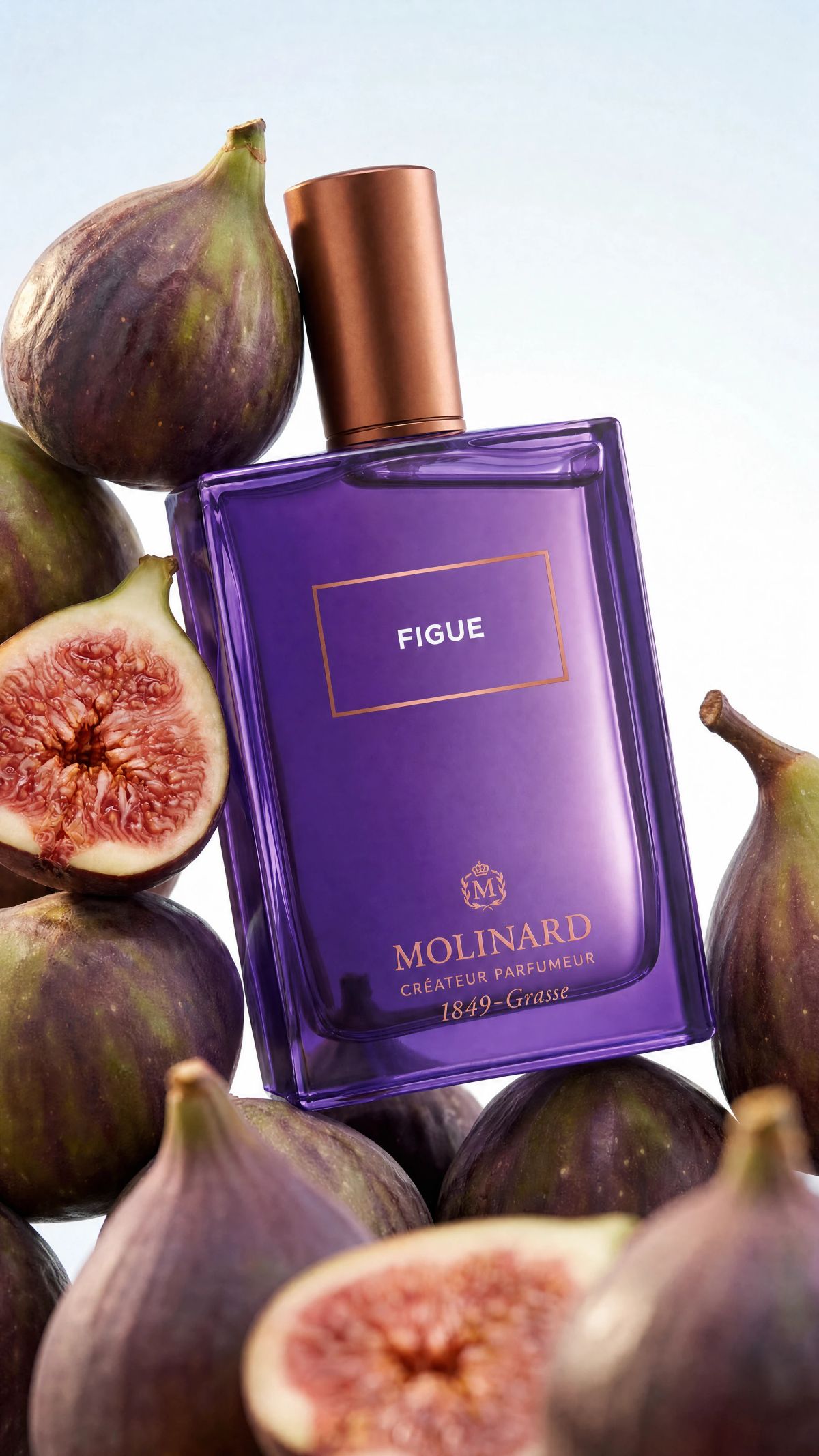 Molinard social organic