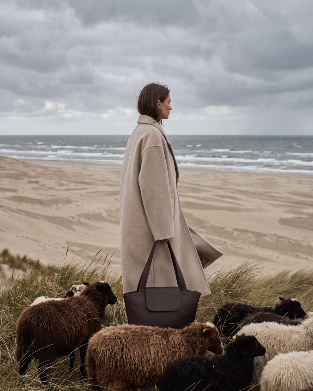 Wool & Oak social organic