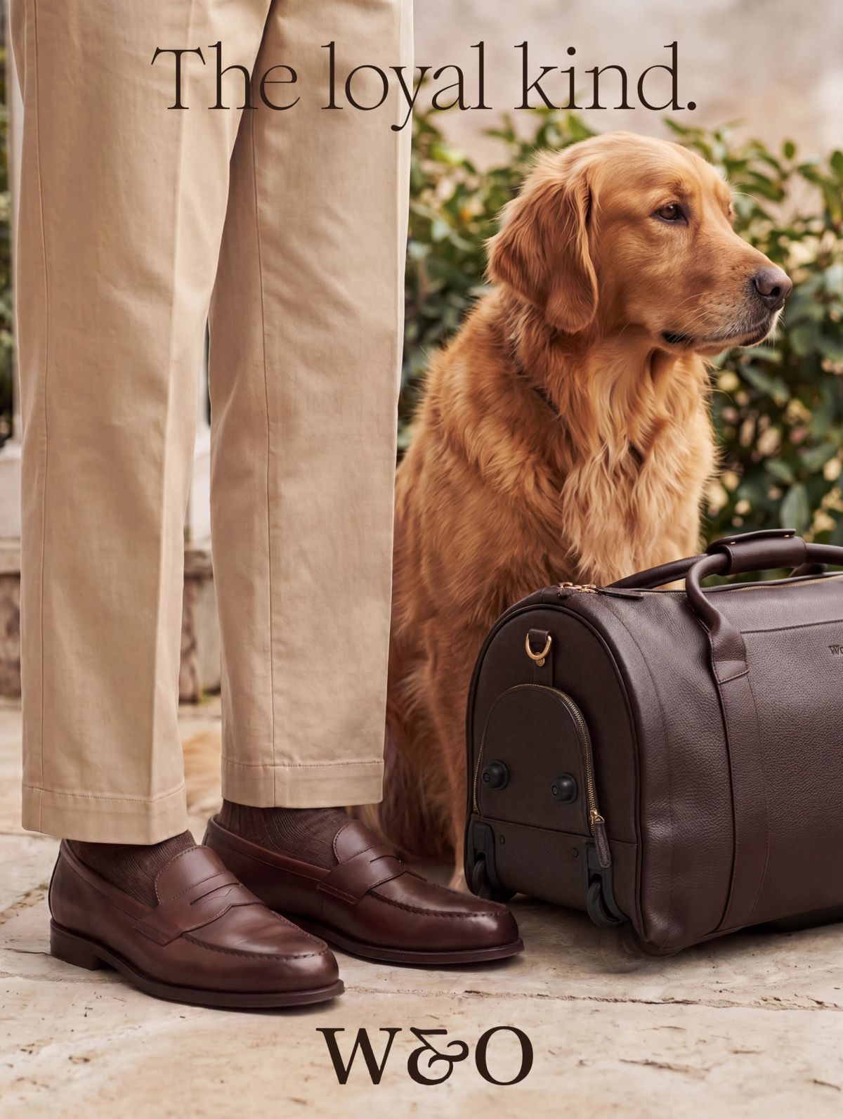 Wool & Oak social ads