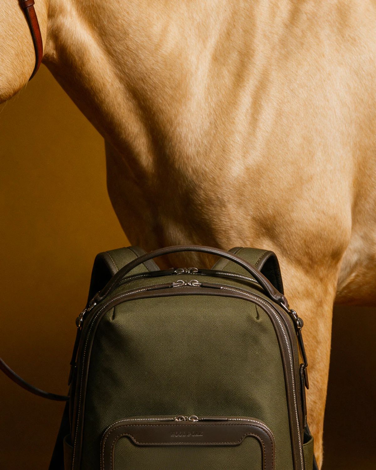 Wool & Oak social organic