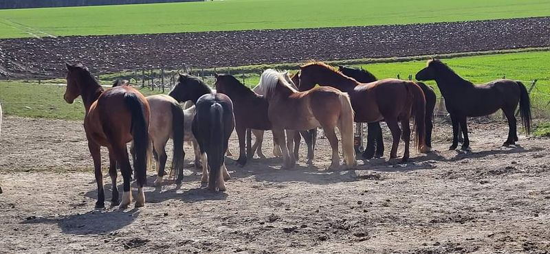 Verdieping in kleine groepen