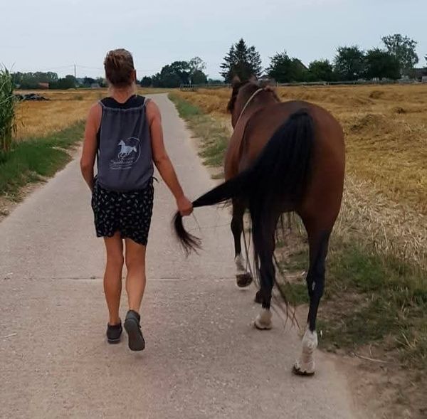 Natuurlijke hoeven