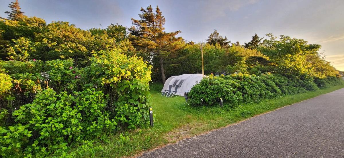 Onze tent tussen het groen in de duinen van Vlieland