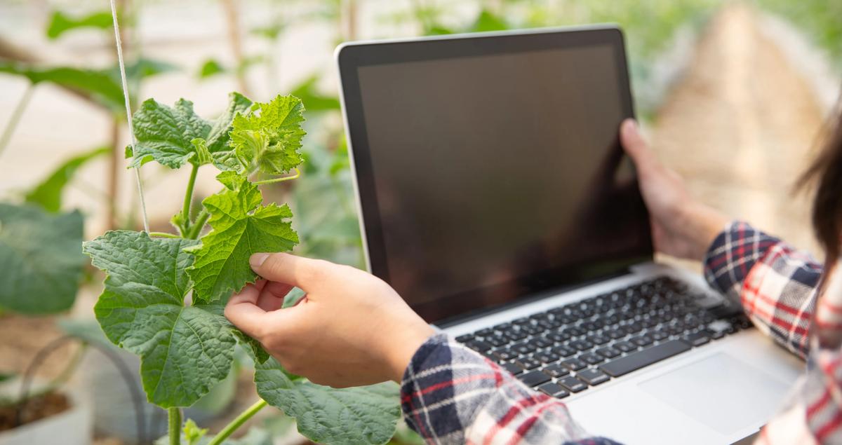 arborist software for small businesses