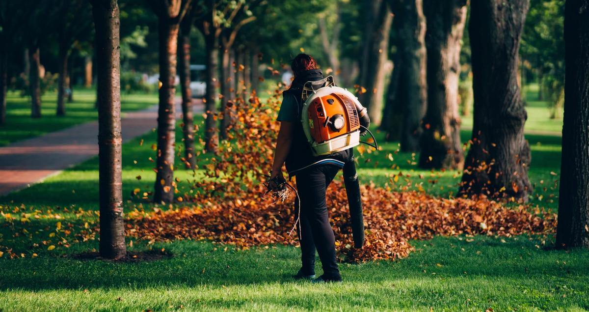 leaf blowing software