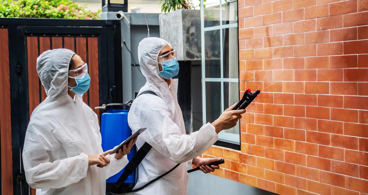 pest control services
