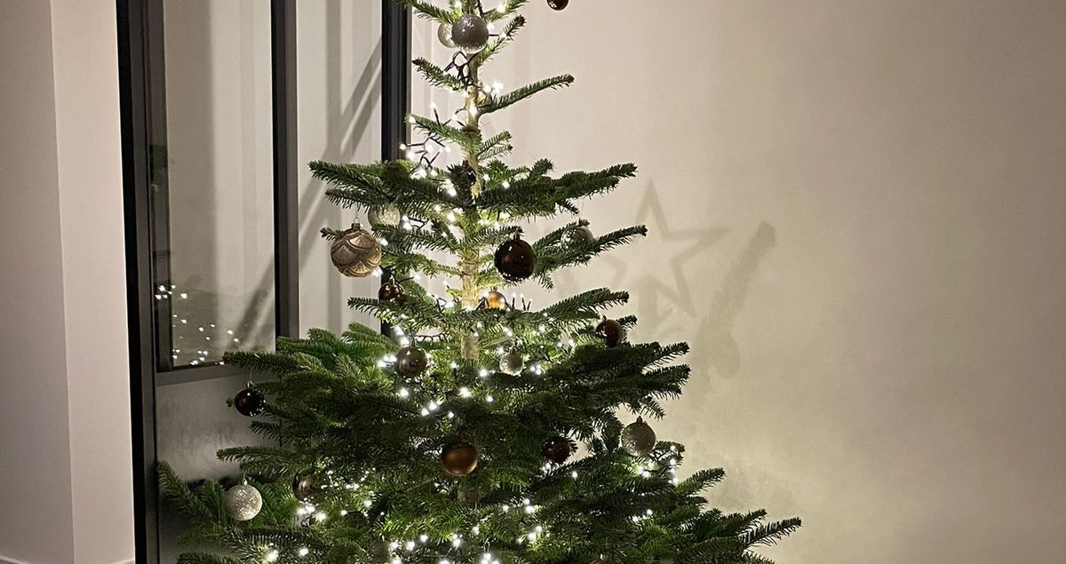a christmas tree with a star on top of it