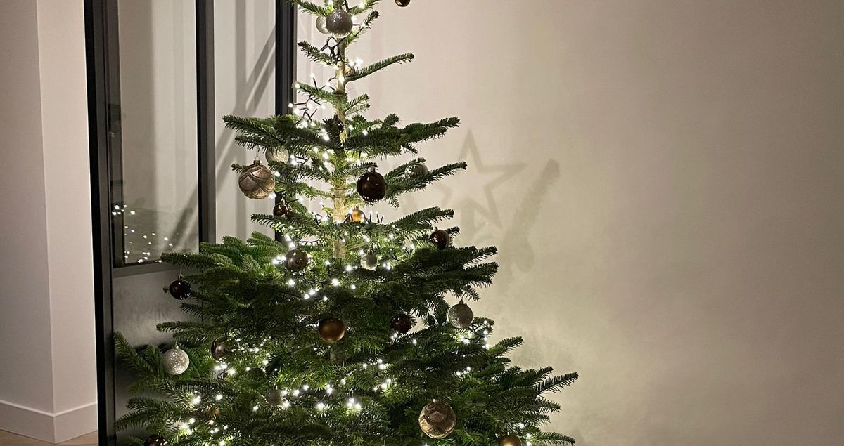 kerstbomen die bij met de vrijwilligersactie met Vev werden verkocht