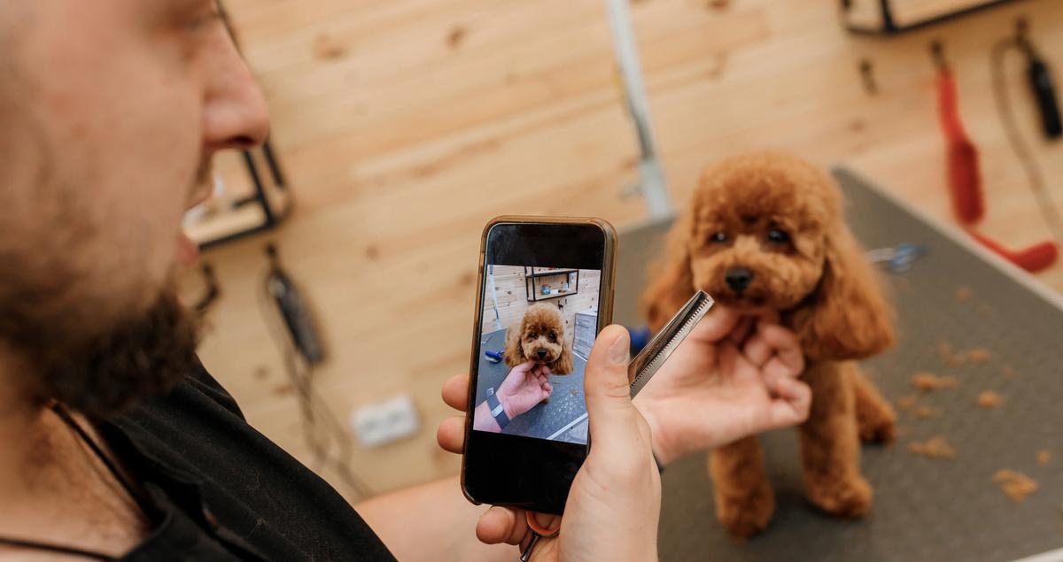 mobile vet software for small businesses