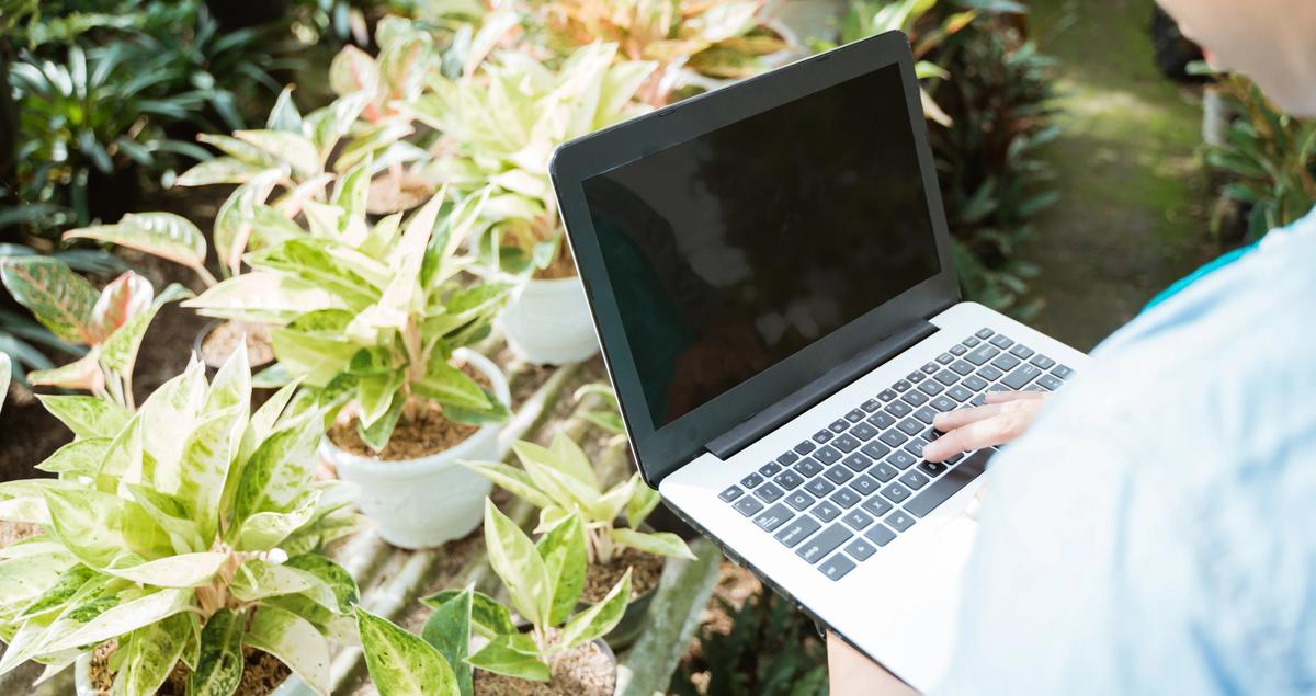 plant caretaker software