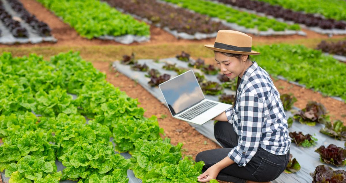 best gardener software