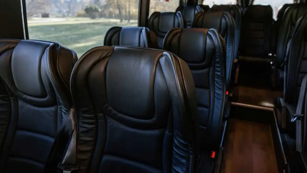 Luxury Leather Seats on Wild Kiwi Tours bus