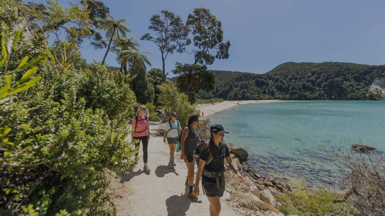 Group of people walking the Abel Tasman National Park in New Zealand