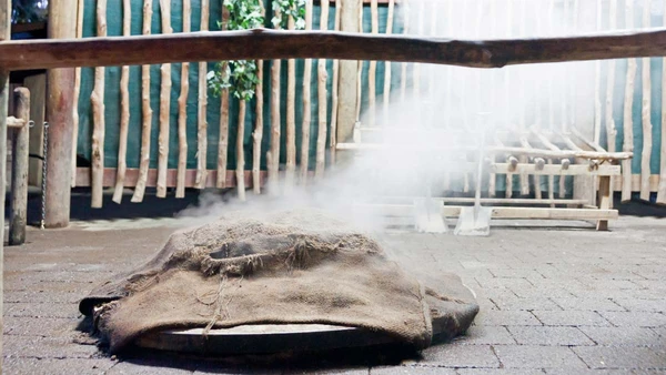 Hangi meal cooking at Waitangi