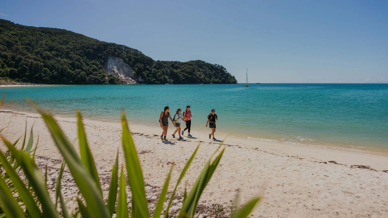 Group of people walking along a beach in Abel Tasman National Park