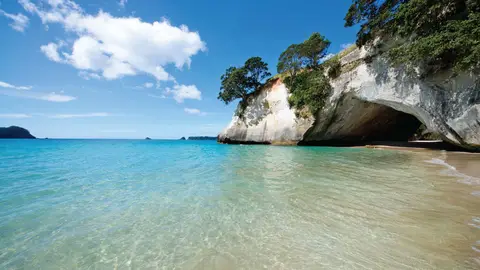 Cathedral Cove in the Coromandel