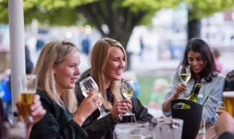 Group of people drinking wine in New Zealand