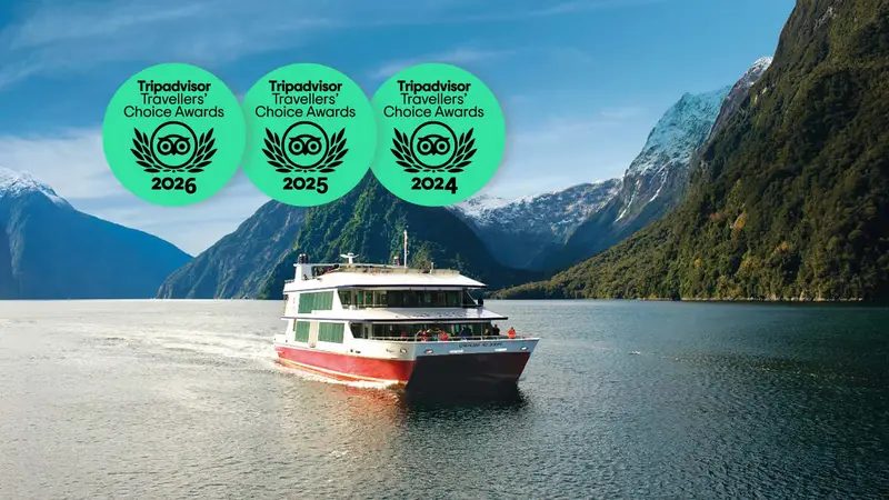 Milford Sound Tour: Coach & Cruise