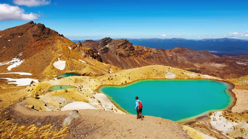 NZ Explorer