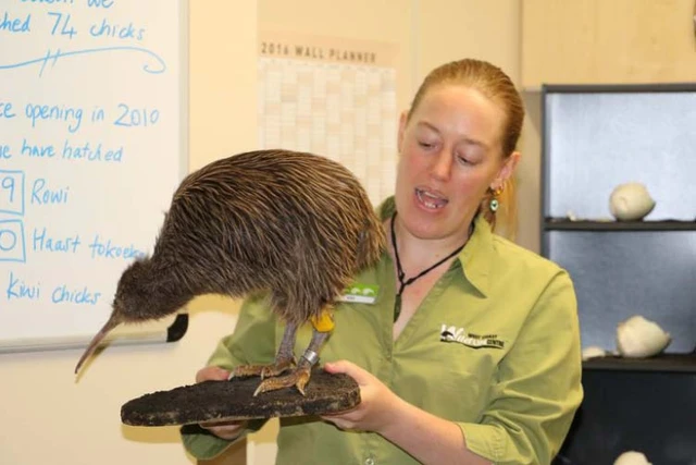 Woman showing off a Kiwi bird at the West Coast Wildlife Centre
