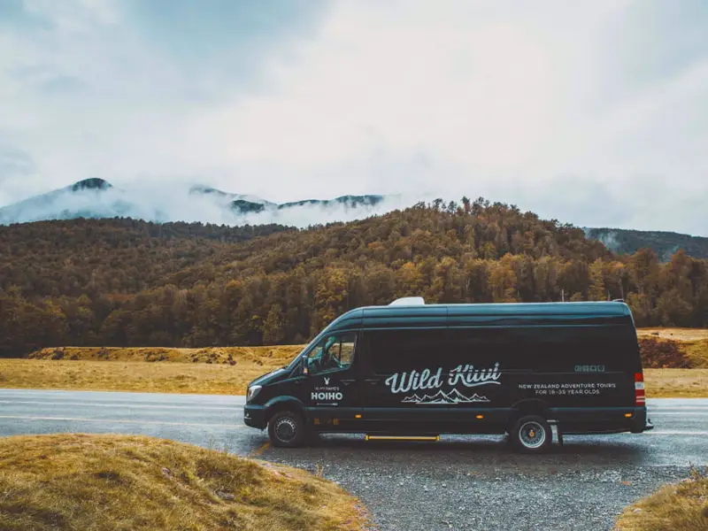 A small group tour van for Wild Kiwi sits in front of beautiful misty forest during autumn in New Zealand.