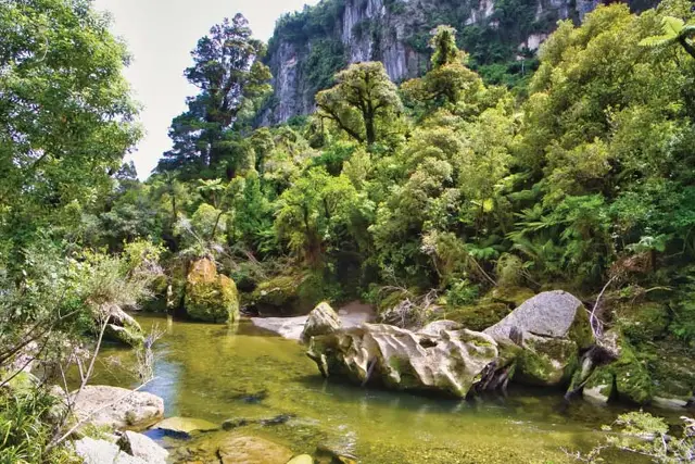Paparoa National Park