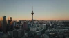 The skyline in Auckland city at sunset