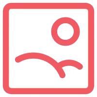 Window icon