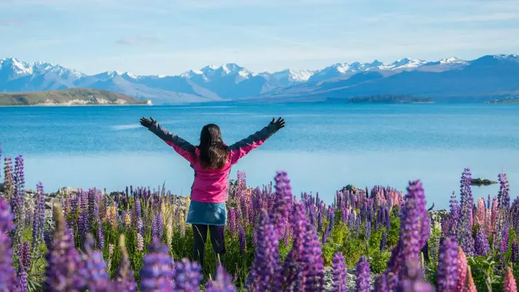 Woman standing amongst the lupin flowers next to Lake Tekapo