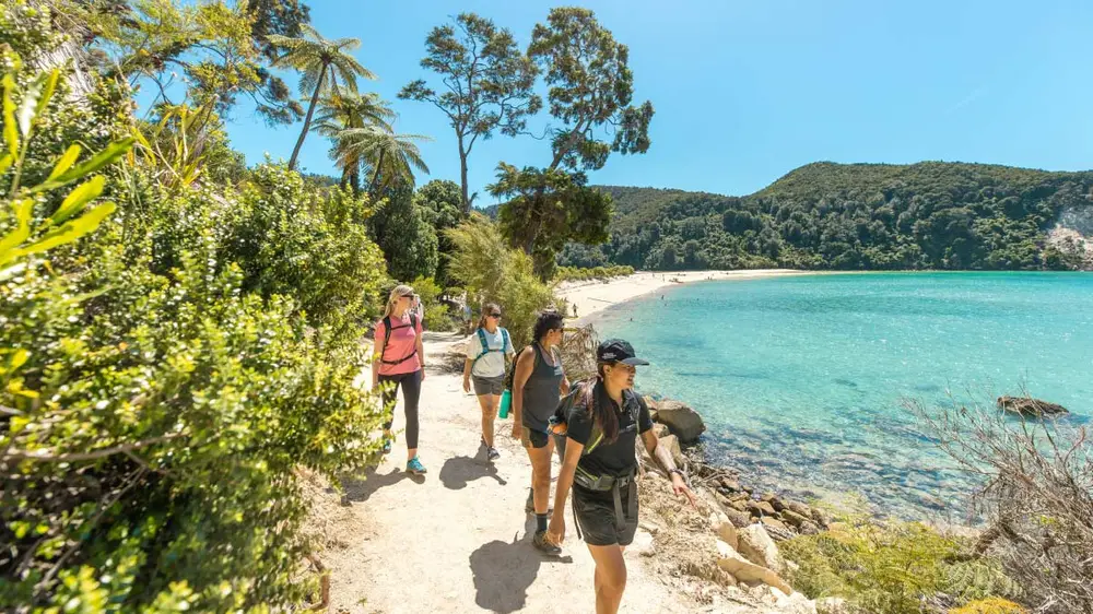Group of people walking Abel Tasman National Park