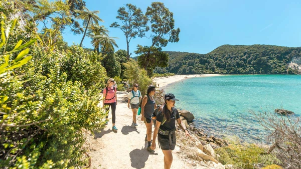 Group of people walk Abel Tasman track