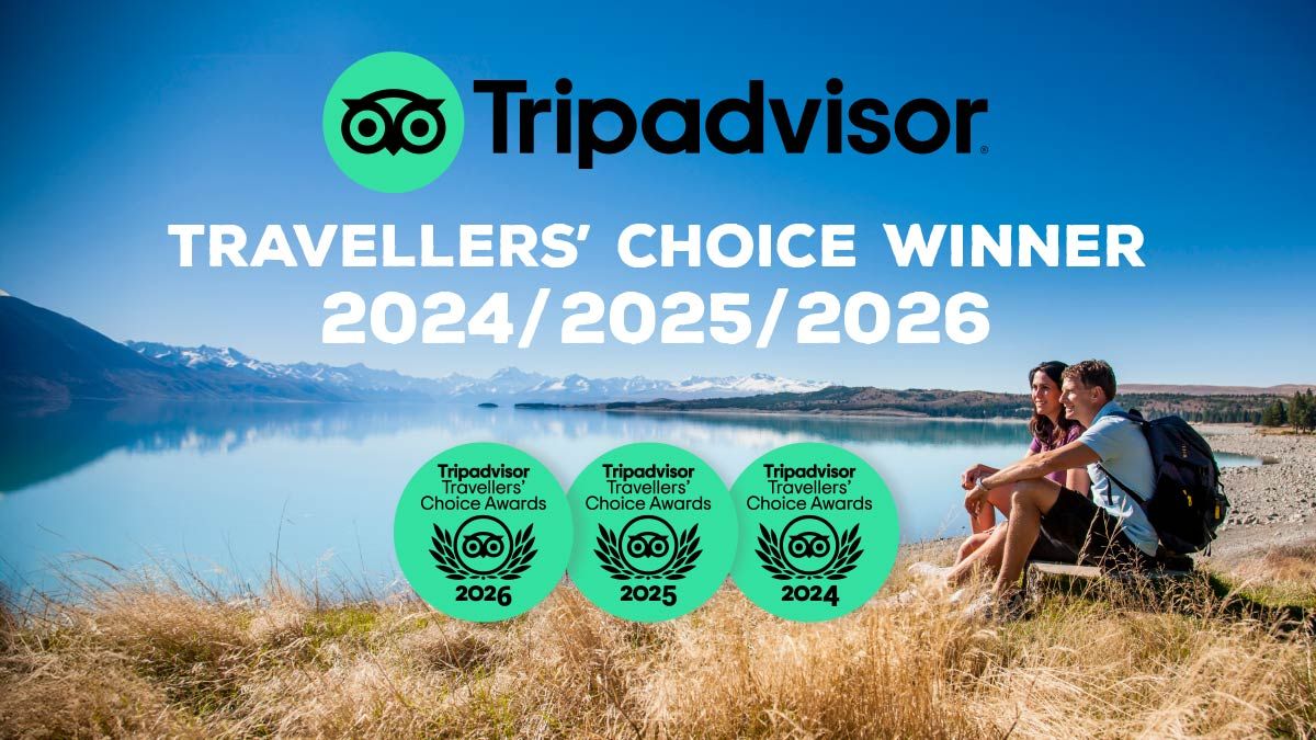 TripAdvisor Travelers' Choice Winner logo