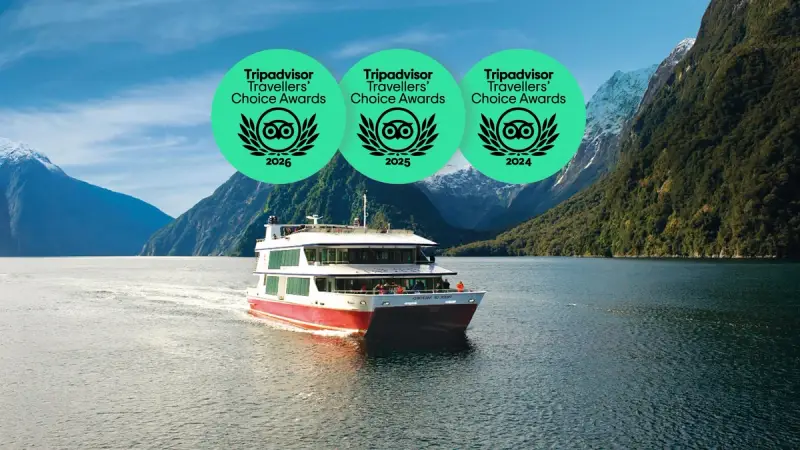 Milford Sound Tour: Coach & Cruise