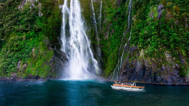 Milford Sound Cruise