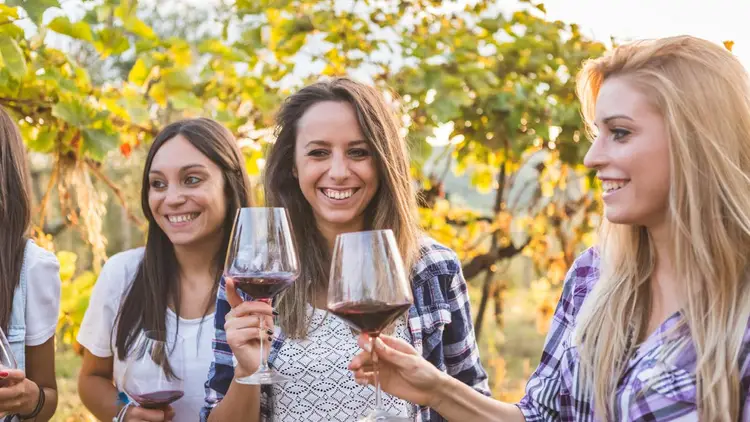 Group of people drinking wine in New Zealand