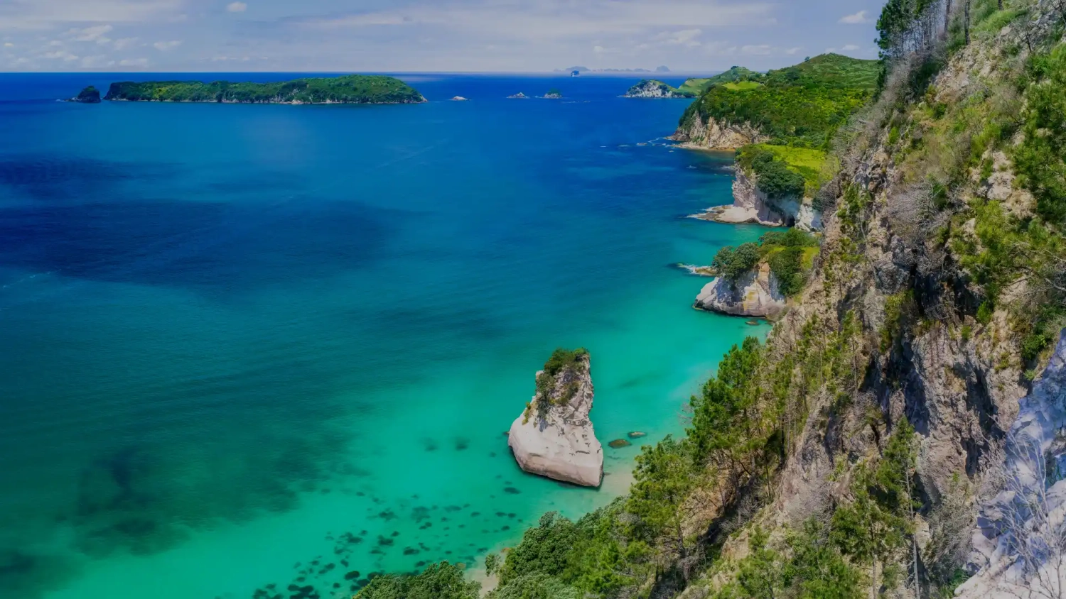 Cathedral Cove in New Zealand