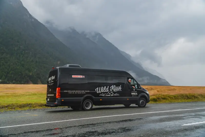 a wild kiwi bus mercedes sprinter