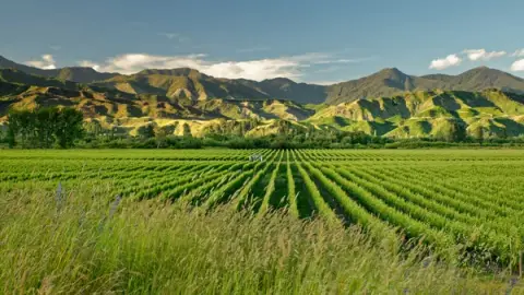 Marlborough