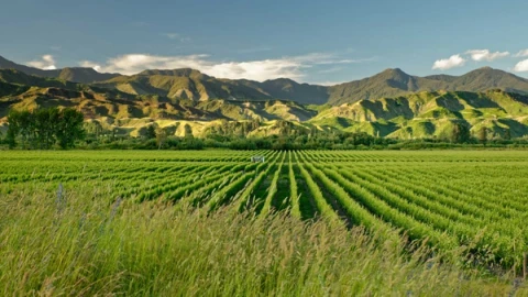 Marlborough